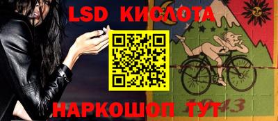 гашик Кандалакша