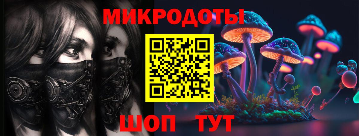 Псилоцибиновые грибы прущие грибы Красный Сулин